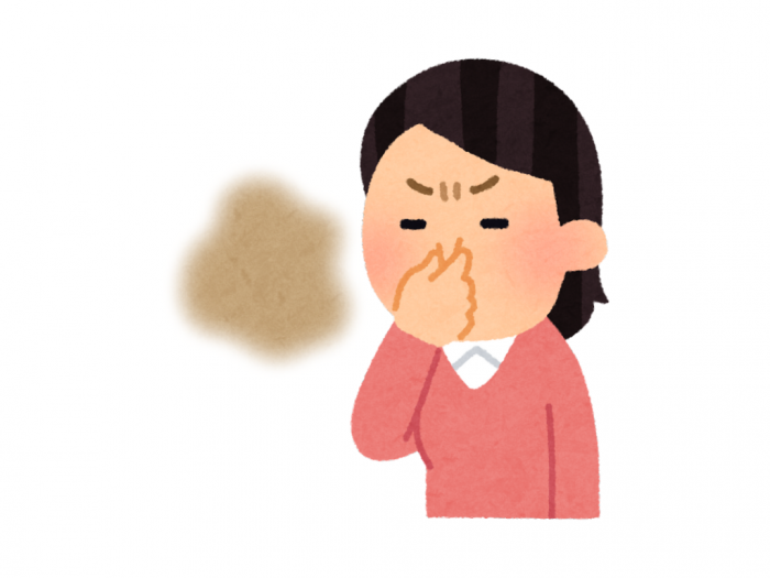 玄関のニオイ 243